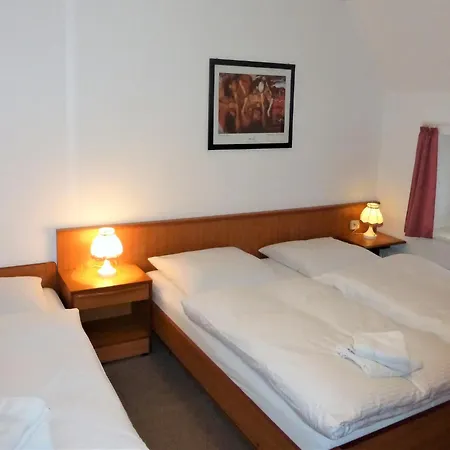 Spacious In Germany With Near *